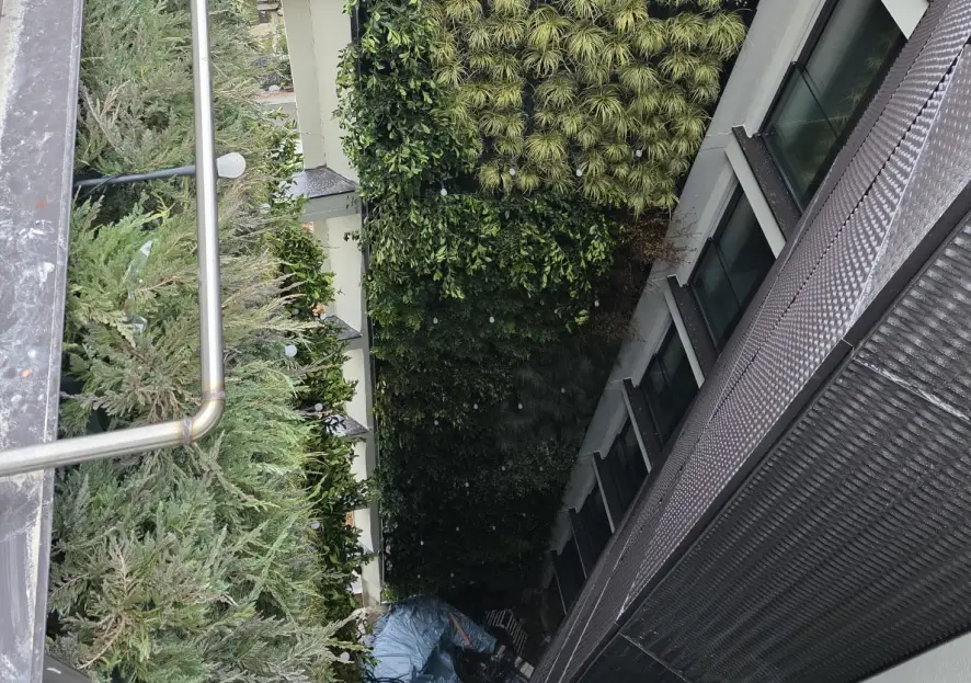 Dream Project & Solution progetto Gestione aree verdi