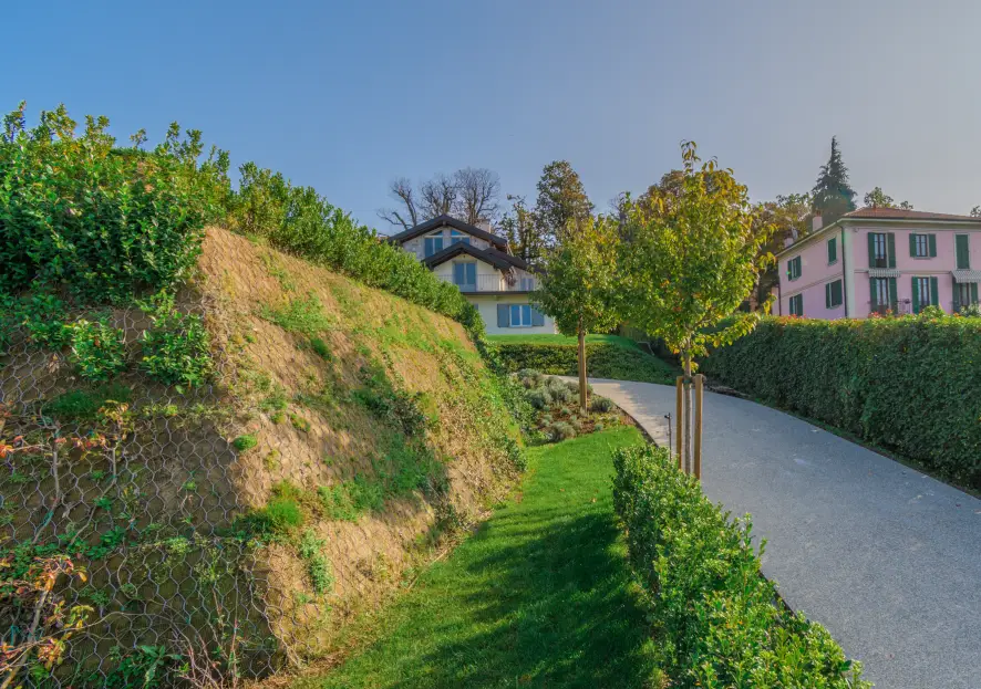 Dream Project & Solution progetto Gestione aree verdi